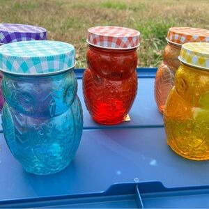 The Pioneer Woman Vibrant Owl Jars - Blue, Red, Orange